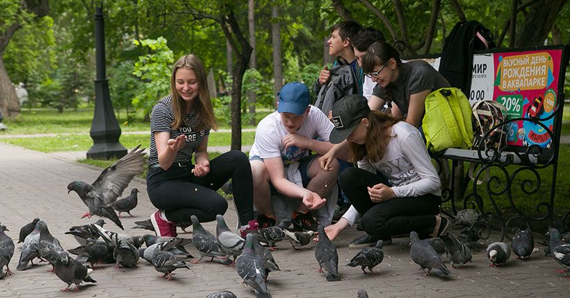 Уполномоченный По Правам Человека Эссе
